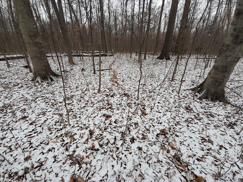 Botkins Park - Jackson Center, OH