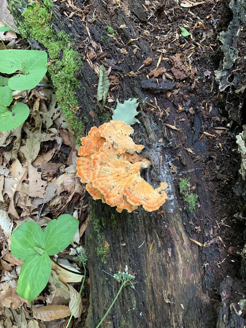 Botkins Park - Jackson Center, OH