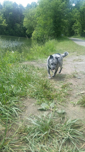 Hammertown lake
