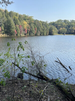 Lake Katharine State Nature Preserve