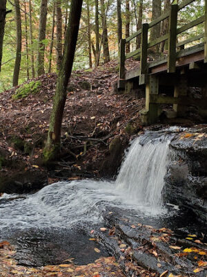 Waterfalls