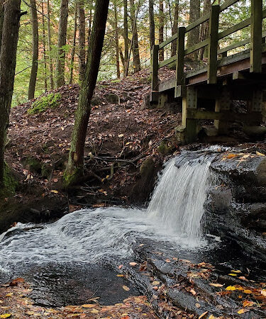 Waterfalls