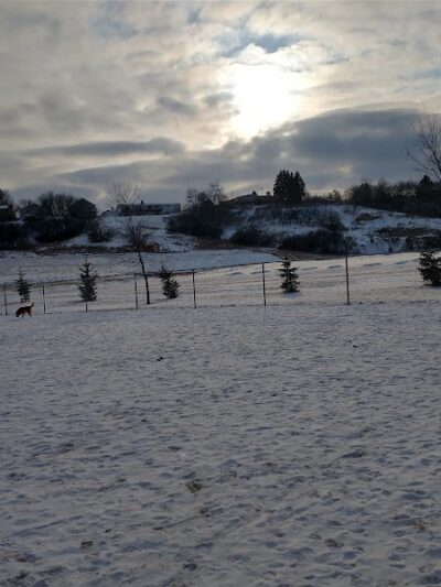 Peppers Dog Park - Jamestown, ND