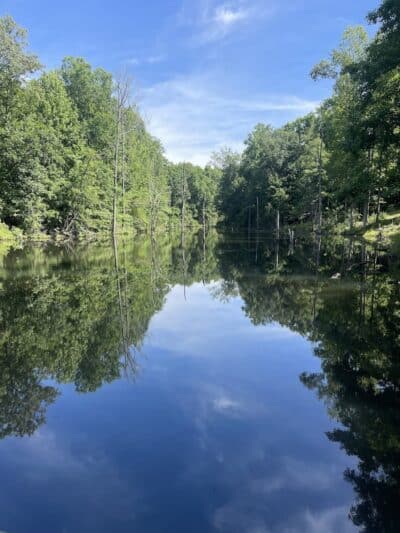 City of Jasper Off Leash dog park - Jasper, AL