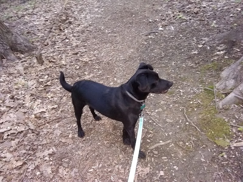 Jefferson Dog Park - Jefferson, OH
