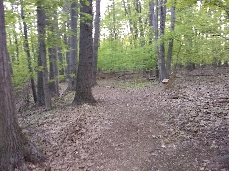 Jefferson Dog Park - Jefferson, OH