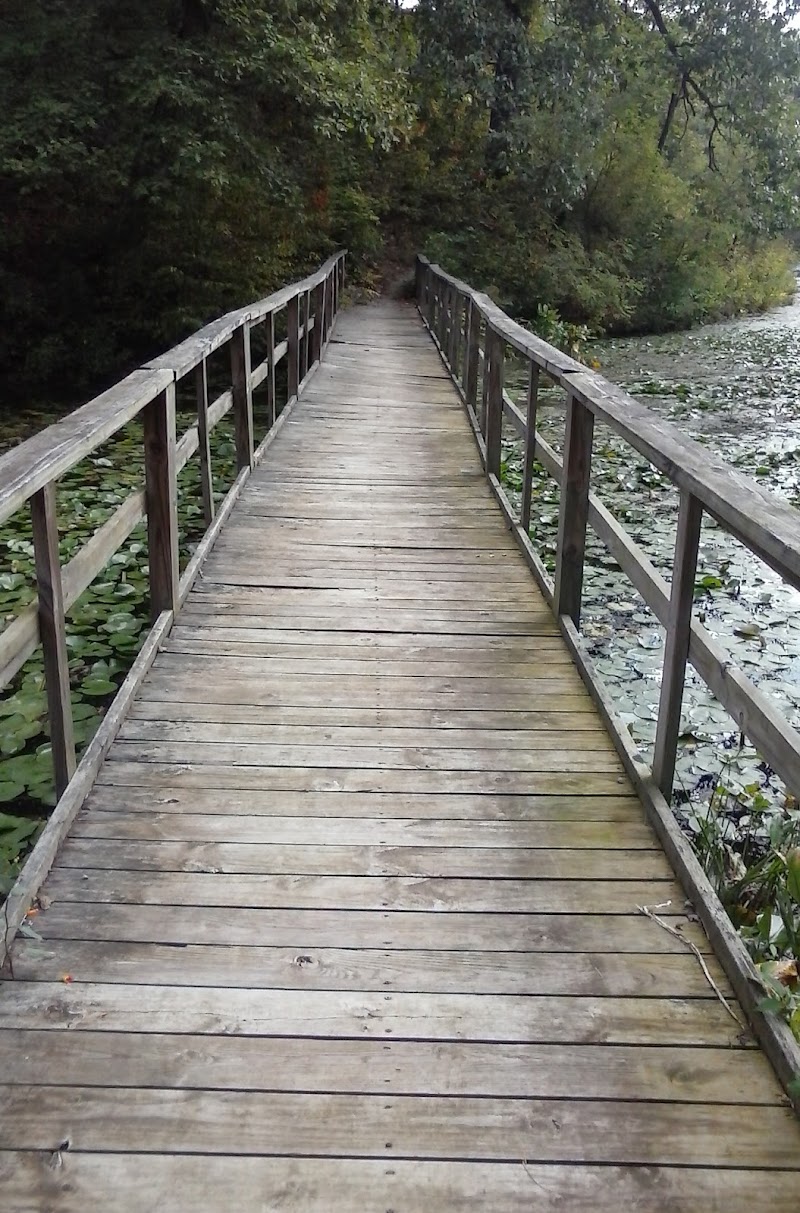Monroe Lake Wildlife Area - Jerusalem, OH