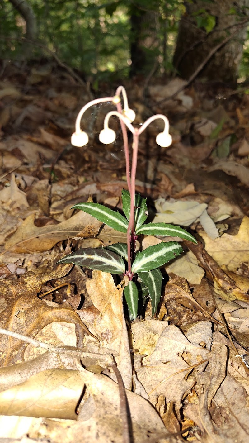Monroe Lake Wildlife Area - Jerusalem, OH