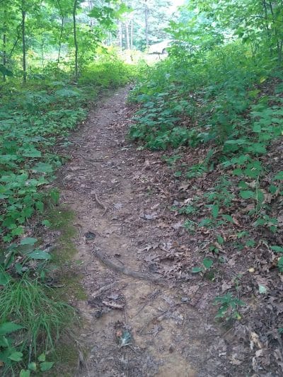 Monroe Lake Wildlife Area - Jerusalem, OH