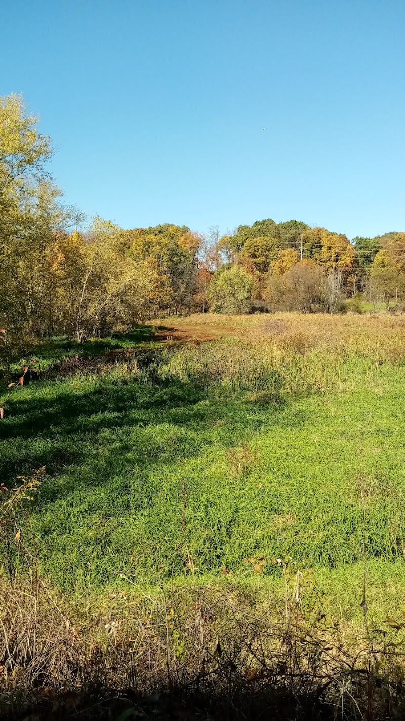 Conotton Creek Trail: Jewett Trailhead - Jewett, OH