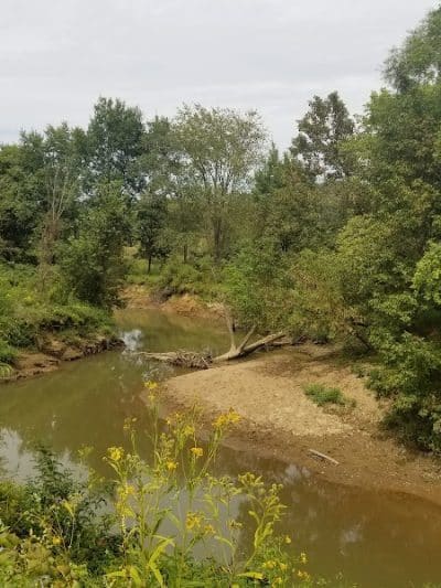 Conotton Creek Trail: Jewett Trailhead - Jewett, OH