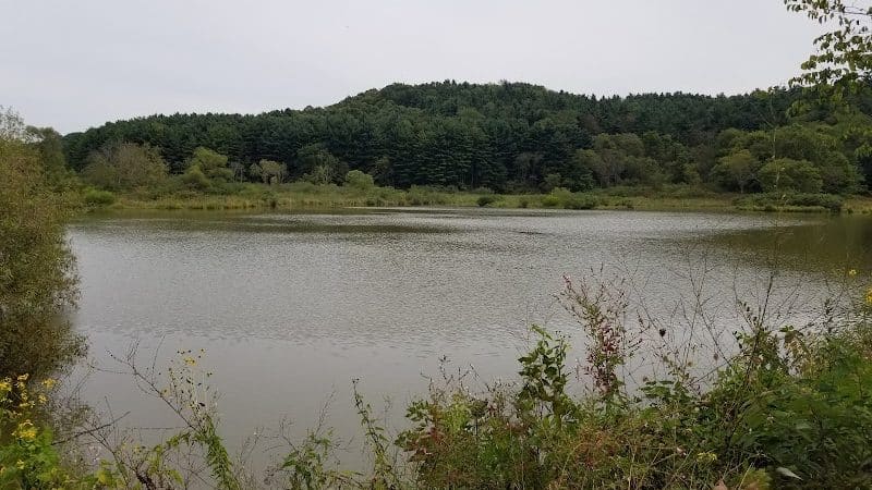 Conotton Creek Trail: Jewett Trailhead - Jewett, OH