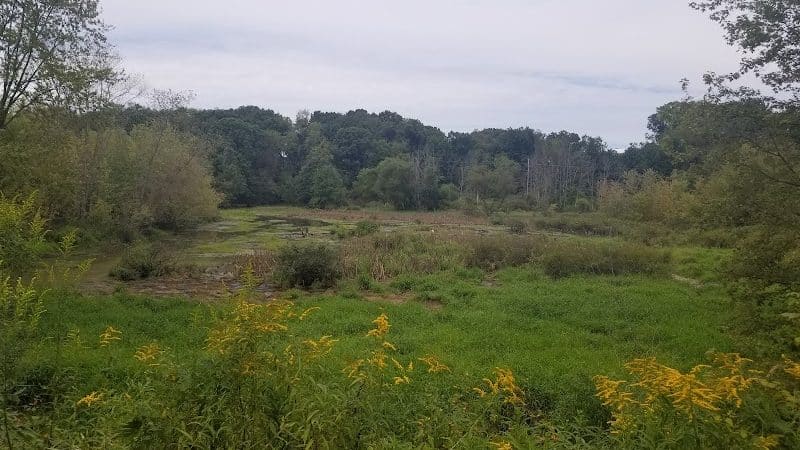 Conotton Creek Trail: Jewett Trailhead - Jewett, OH