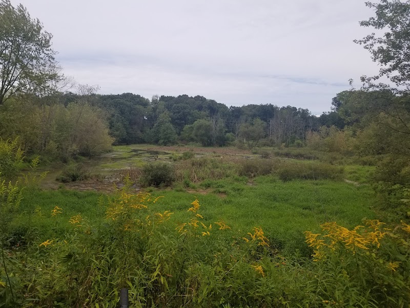 Conotton Creek Trail: Jewett Trailhead - Jewett, OH