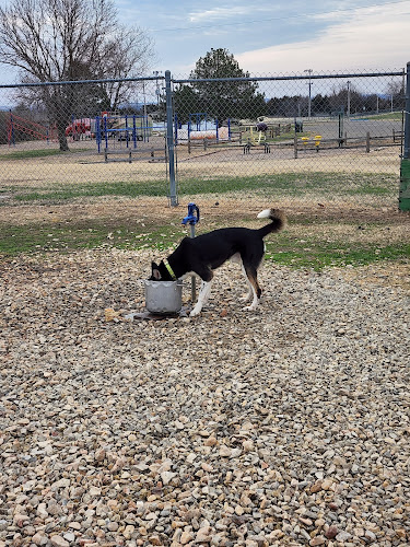 Dog park