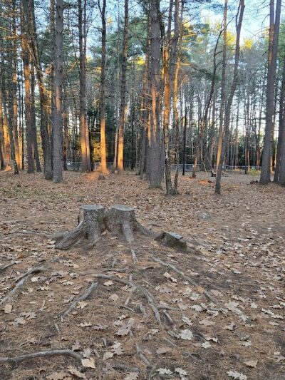 Keene Dog Park - Keene, NH