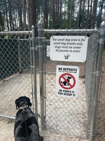 Keene Dog Park - Keene, NH