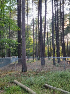Keene Dog Park