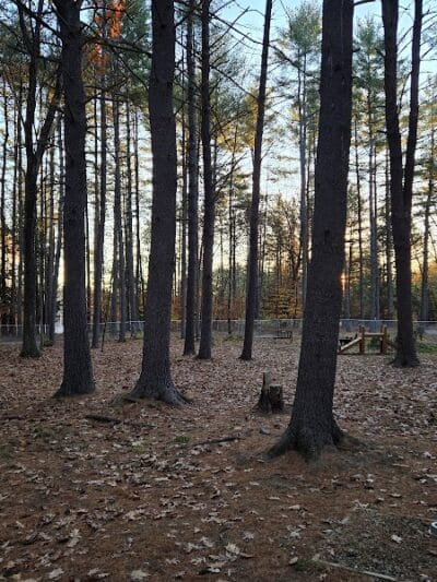 Keene Dog Park - Keene, NH