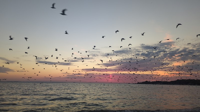 Pebble Beach - Kelleys Island, OH
