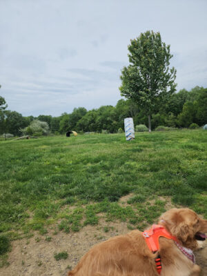 Cranberry Creek Park