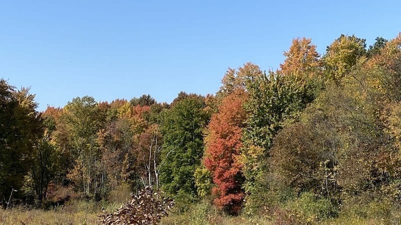 Cranberry Creek Park - Kent, OH
