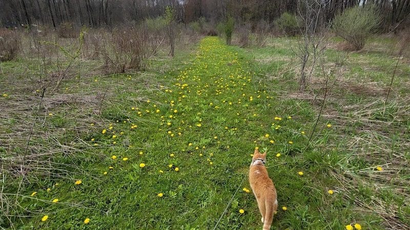 Cranberry Creek Park - Kent, OH