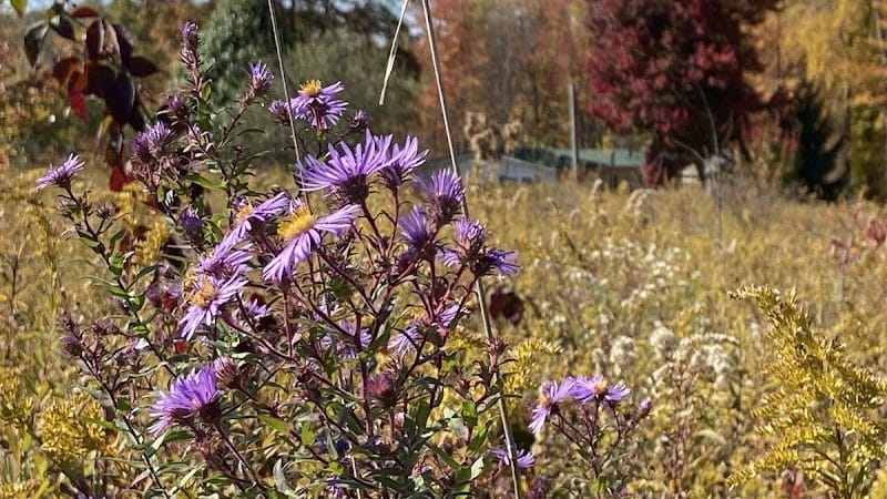 Cranberry Creek Park - Kent, OH