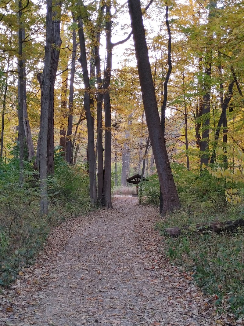 Paw Paw Pavilion - Kettering, OH