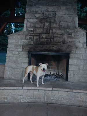 Paw Paw Pavilion