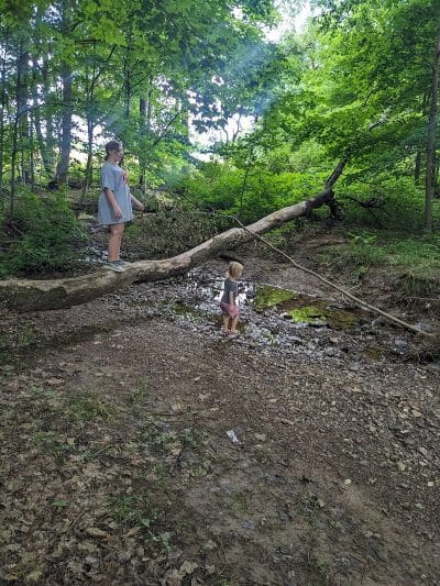 Kidron Community Park - Kidron, OH