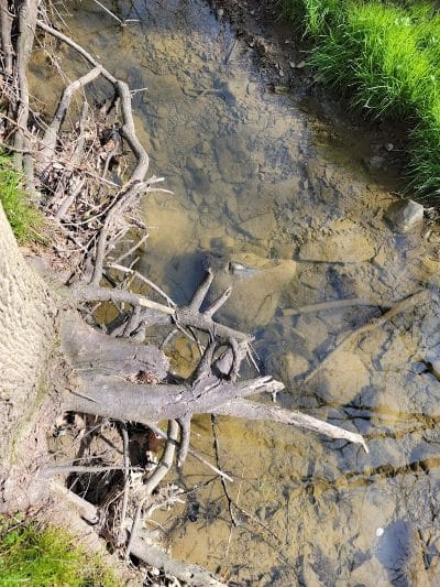Kidron Community Park - Kidron, OH