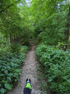 Carter Park