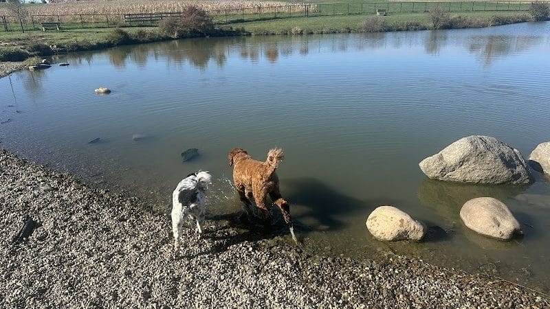 Canine Meadow - Dog Park - Kirtland, OH