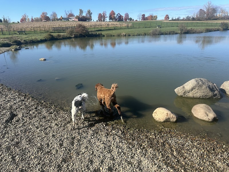Canine Meadow - Dog Park - Kirtland, OH