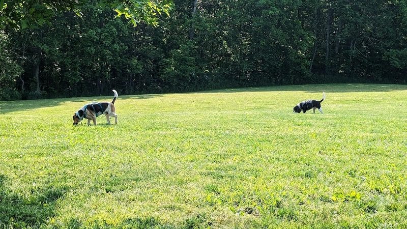 Canine Meadow - Dog Park - Kirtland, OH
