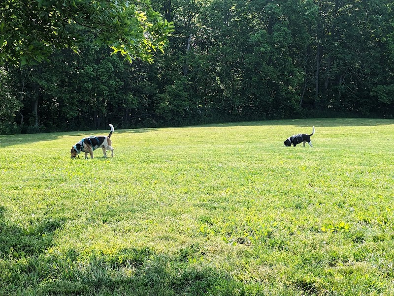 Canine Meadow - Dog Park - Kirtland, OH
