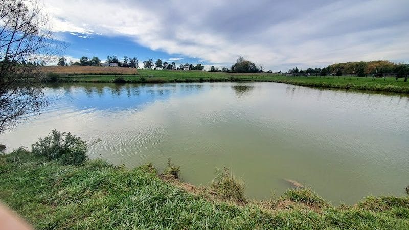 Canine Meadow - Dog Park - Kirtland, OH