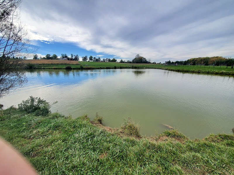 Canine Meadow - Dog Park - Kirtland, OH
