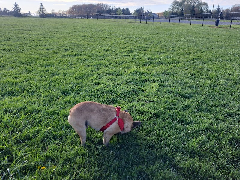 Canine Meadow - Dog Park - Kirtland, OH