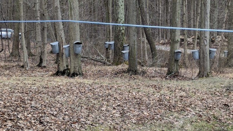 Canine Meadow - Dog Park - Kirtland, OH