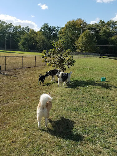 Dog Park Association of Greater Lafayette
