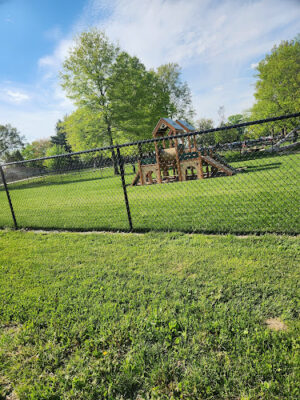 McPaw Dog Park (membership only)