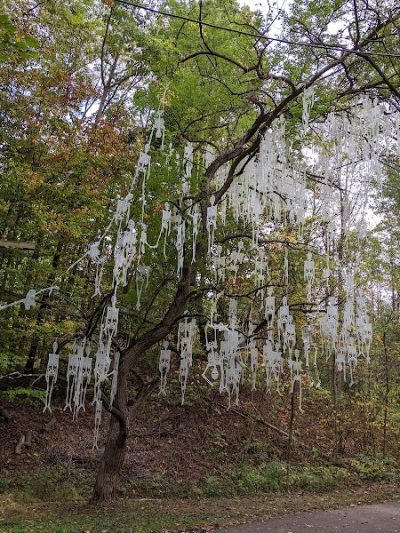 Lorain County Metro Parks - Lagrange, OH