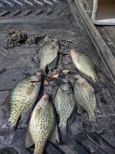 Lake Milton State Park - Lake Milton, OH
