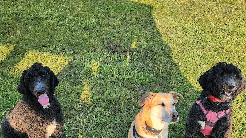 Bark Until Dark Dog Park - Lakeside Marblehead, OH