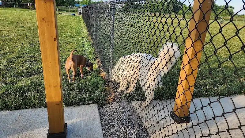 Bark Until Dark Dog Park - Lakeside Marblehead, OH