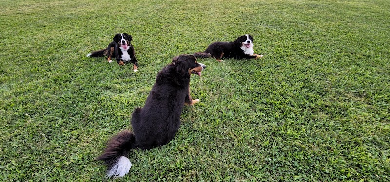 Bark Until Dark Dog Park - Lakeside Marblehead, OH