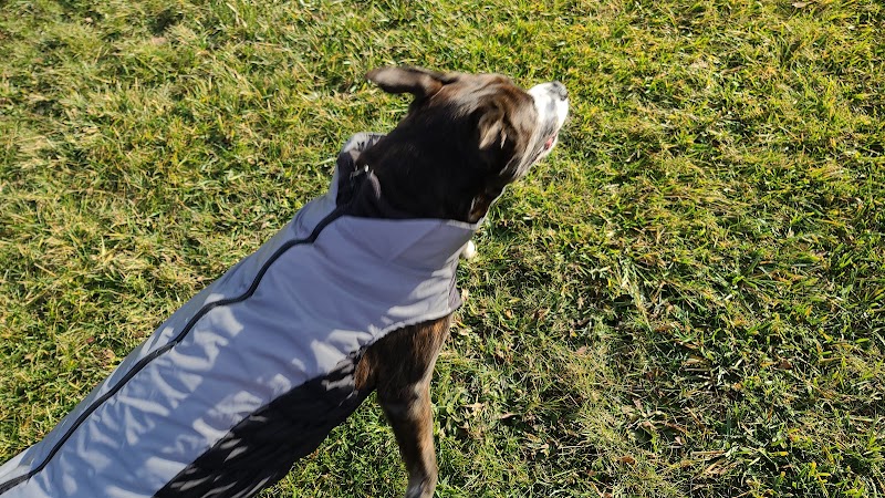 Bark Until Dark Dog Park - Lakeside Marblehead, OH