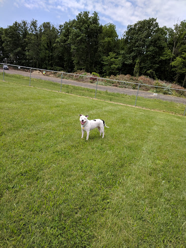 Bark Until Dark Dog Park